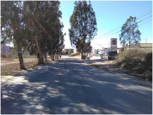 Caravaca3