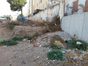 IMG-20160818-WA0008